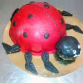 Tort dla dzieci nr 13